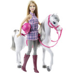 Barbie Doll & Horse with Removable Accessories