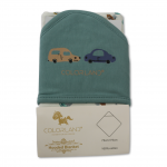 Colorland Dylan Baby Hooded Blanket - The Car Show 1 Pc Per Pack