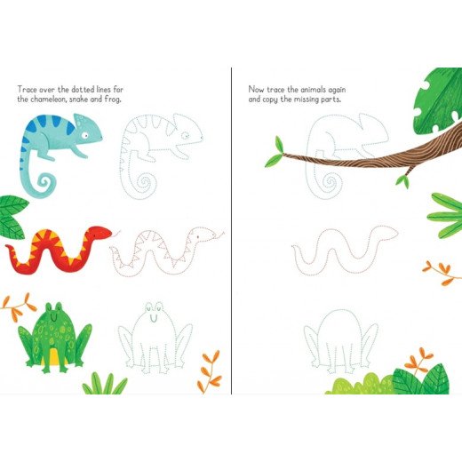 Usborne Little Wipe-Clean Animals to Copy and Trace Book