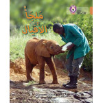 Collins Big Cat Arabic – Elephant Sanctuary