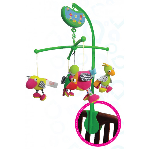 Farlin Package - ( ababy Baby Walker + aBaby - Birds Mobile )