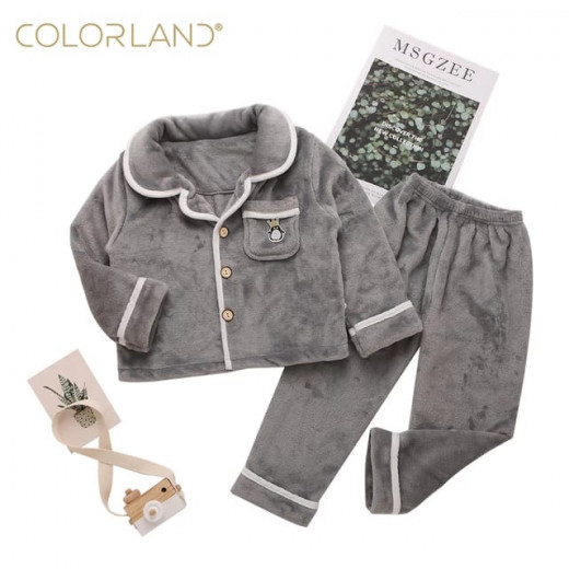 Colorland Pijama Top + Bottom For Kids - 7-8 Years - Grey
