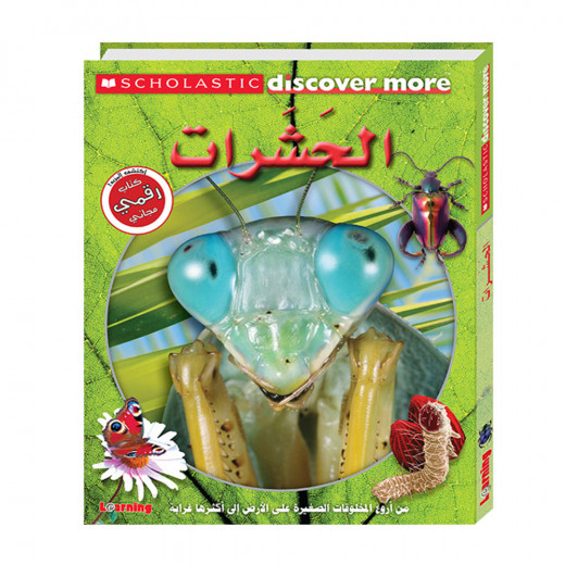 Scholastic - Discover More - Bugs