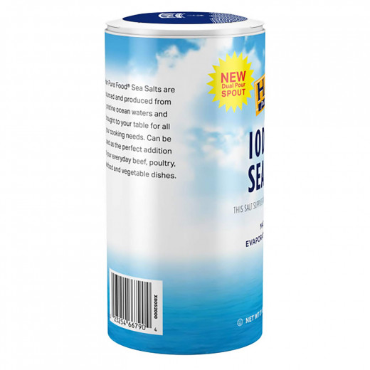 Hain Pure Foods Iodized Sea Salt 595g