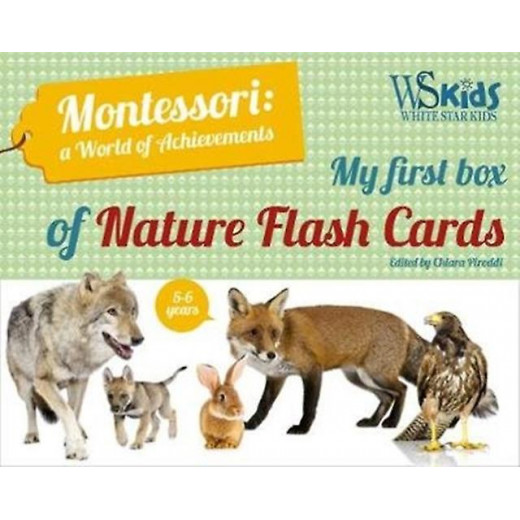 White Star - My First Flash Cards Box Discovering Forest Animals Montessori World of Achievements