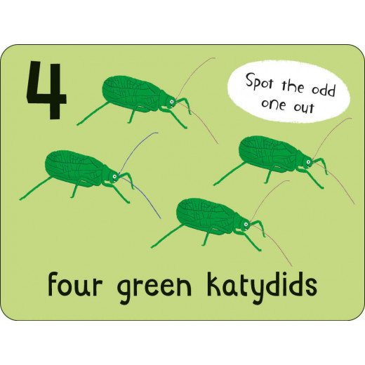 مايلز كيلي - Lots To Spot Flashcards Bugs
