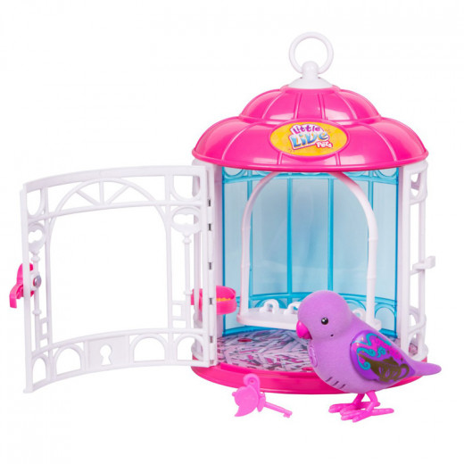 Small Live Pets Birds With Cage, Multicolored