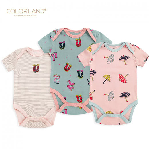 Colorland - (6) Baby Bodysuit 3 Pieces In One Pack, 9-12 Months, Winter