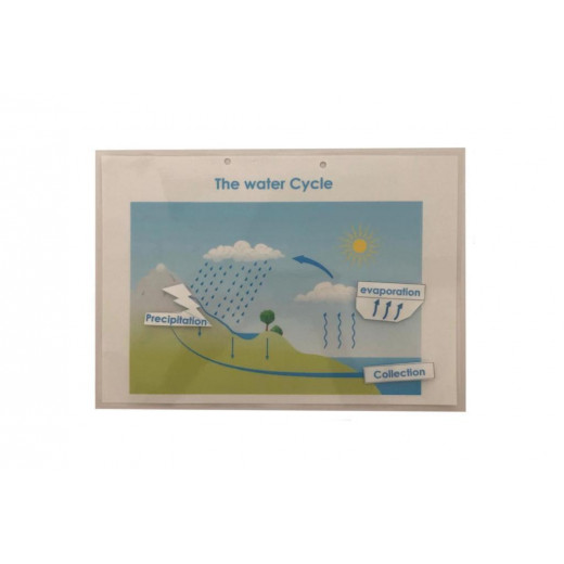 Big Kid’s Book, The Water Cycle