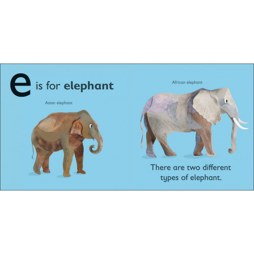 DK Books Publisher Book: ( E ) - is for Elephant