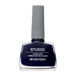 Seventeen Studio Rapid Dry Long lasting Color, Shade 164