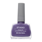 Seventeen Studio Rapid Dry Long lasting Color, Shade 170