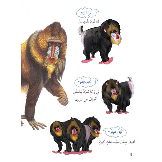 Dar Al Manhal My First Questions And Answers: Monkeys