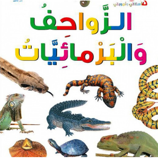 Dar Al Manhal My First Questions And Answers: Reptiles And Amphibians
