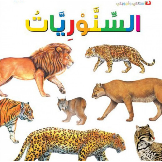 Dar Al Manhal My First Questions And Answers: Felines
