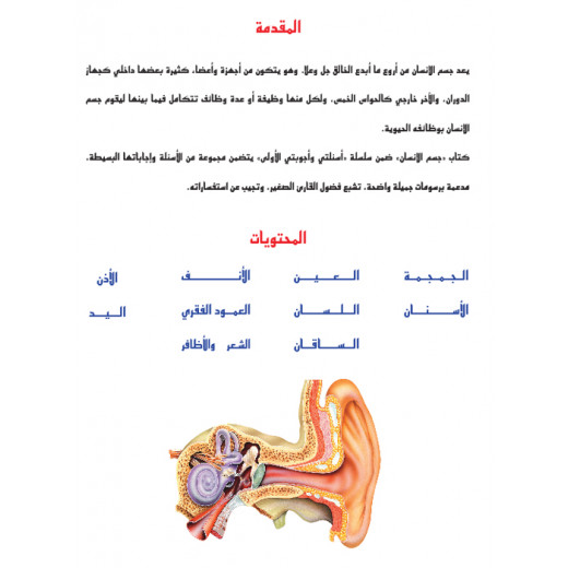 Dar Al Manhal My First Questions And Answers: The Human Body