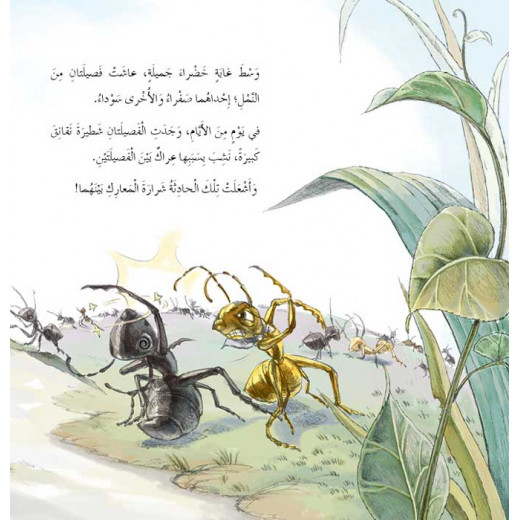 قصص: سلسلة من وحي الخيال:09 كرة النمل من دار المنهل