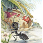قصص: سلسلة من وحي الخيال:09 كرة النمل من دار المنهل