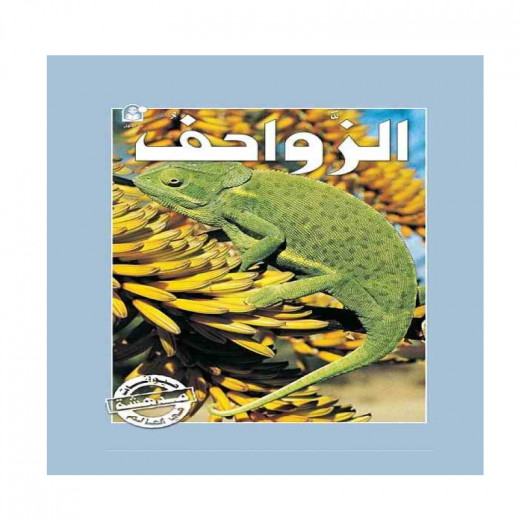 Dar Al Manhal Stories: The Amazing Animals of the World Series: Reptiles