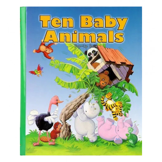 كتاب الحيوانات تحت الماء للاطفال من سبيس بوكس