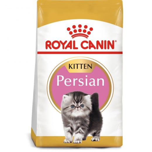 Royal Canin Kitten Persian Cats Food, 400 Gram