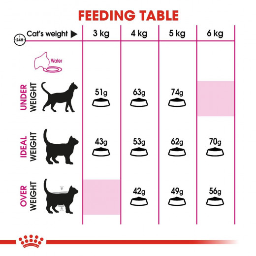 طعام القطط, 2 كجم من رويال كانين