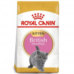 طعام القطة بريطانية, قصيرة الشعر, 2 كيلو من رويال كانين