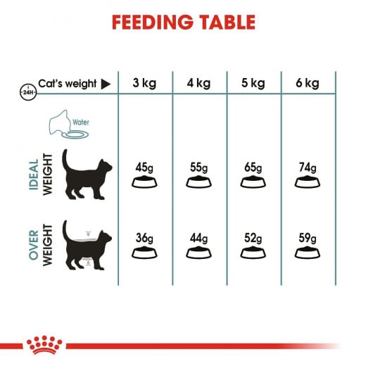Royal Canin Cat Food For Hairball Care, 400Gm