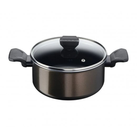 Tefal Easy Cook and Clean Stewpot + Lid, 30 Cm