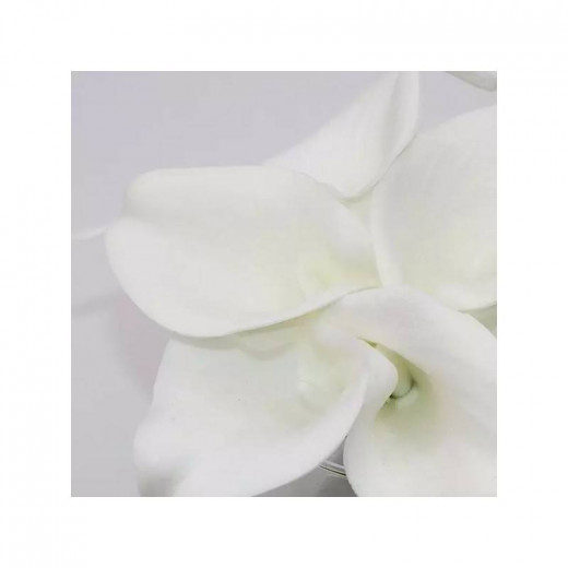 زينة زهور "كالا ليلي" ، لون أبيض ، 14 سم من نوفا هوم