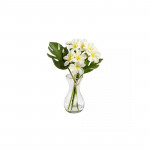 Nova Home "Fragipani" Artificial Flower Arrangement, White Color, 32 Cm