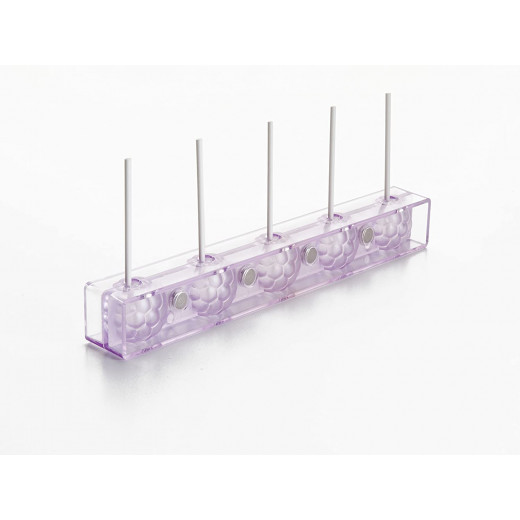 Ibili Candy Mold With 24 Sticks