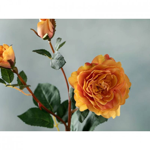 English Home Autumn Rose Single Branch Artificial Flower, Light Orange Color, 50 Cm