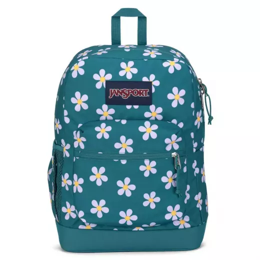 JanSport Cross Town Plus Backpack, Green & Purple Color 17"