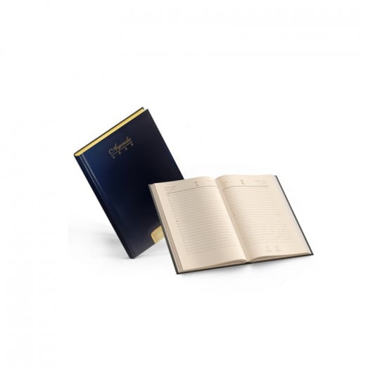 Daily Diary Hard Cover Perforated Gilded L/O A5, 2024