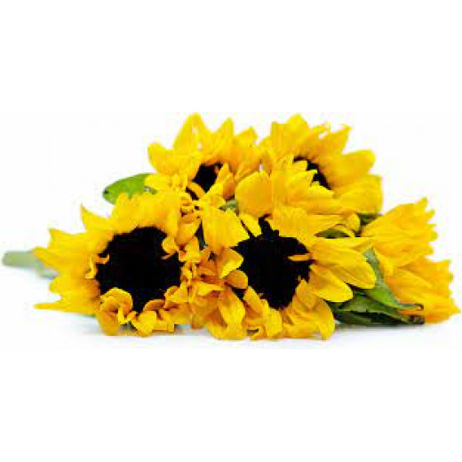 Nova Home "Sun Flower" Artificial Flower Arrangement, Yellow Color, 24 Cm