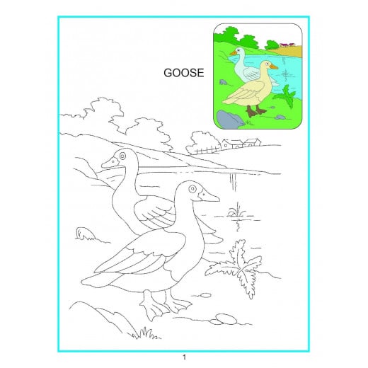 Dreamland | Creative Coloring Book | Water Animals