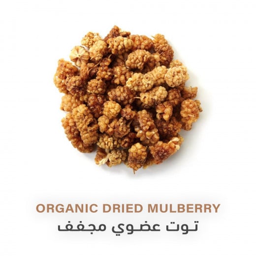 Organic Dried Mulberry | 100g